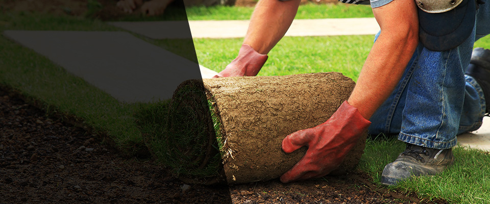 Elmendorf Landscapers